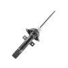 Amortecedor Dianteiro Cofap Turbogás Ford Fiessta 96/04 GP30074 - 1