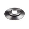 Disco Traseiro Fremax Peugeot 205 93/98 (Par) BD4699 - 2